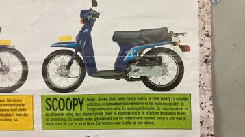 Honda Scoopy vele nieuwe originele en imitatie onderdelen beschikbaar voor biedingen