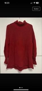 Calvin Klein Wollen Col Trui - Nieuw - Maat L, Kleding | Dames, Truien en Vesten, Ophalen of Verzenden, Nieuw, Maat 42/44 (L)