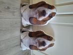 2 sierkussens in vorm van hond hoogte 40cm breedte 25cm, Ophalen of Verzenden, Zo goed als nieuw