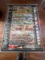 Grote Duitse Schoolkaart Evolutie - Uniek!, Antiek en Kunst, Ophalen, Natuur en Biologie