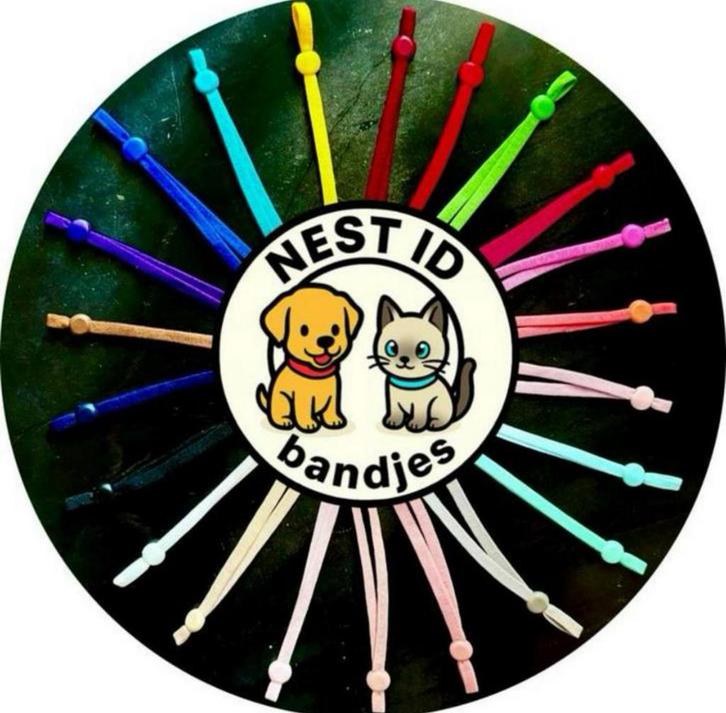 😻 Kitten Identificatie Bandjes 😻 GRATIS Verzending! 🔜💨, Dieren en Toebehoren, Kattenhalsbanden en Penningen, Nieuw, Ophalen of Verzenden