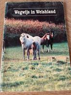 Boek: wegwijs in Welshland, Boeken, Ophalen of Verzenden, Zo goed als nieuw, Paarden of Pony's