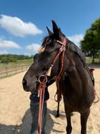 Stoere Westernhoofdstellen met kwastje leer COB & FULL, Ophalen of Verzenden, Nieuw, Western