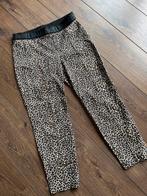 Marc Cain Leopard  scuba broek- Maat L, Kleding | Dames, Marc cain, Bruin, Maat 42/44 (L), Nieuw