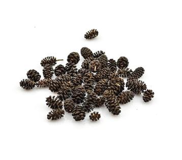 GEZOCHT! Elzenproppen! beschikbaar voor biedingen