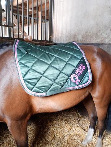 Paarden praat tv dekje beschikbaar voor biedingen