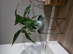 Gladom bijzettafel Ikea groen met grijze plantenpot en plant, Huis en Inrichting, Tafels | Bijzettafels, Minder dan 55 cm, Rond