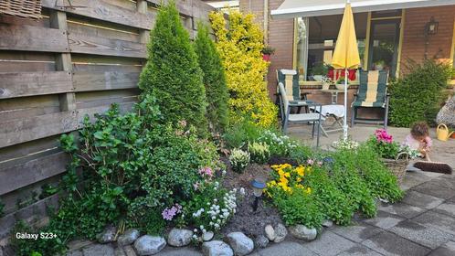 Betaalbare tuinman Almere e.o. voor onderhoud & opknapbeurt, Tuin en Terras, Overige Tuin en Terras, Nieuw, Ophalen