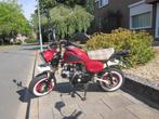 HONDA MONKY skytem  replica, Ophalen, Overige modellen, Maximaal 45 km/u, Nieuw
