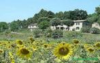 Appartementen in een gezellige boerderij nabij Pisa en zee!!, Vakantie, Vakantiehuizen | Italië, 8 personen, 4 of meer slaapkamers