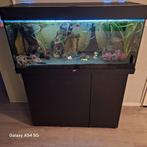 Juwel aquarium rio 180, Dieren en Toebehoren, Vissen | Aquaria en Toebehoren, Ophalen, Gebruikt