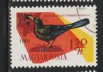 Hongarije 1961 - Vogel - Merel, Ophalen of Verzenden, Gestempeld