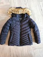 Cars blauwe dames jas medium, Ophalen of Verzenden, Zo goed als nieuw, Maat 38/40 (M), Blauw