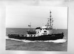 scheepvaart-foto-18/24 cm-zeetijger, Ophalen of Verzenden, Zo goed als nieuw, Boek of Tijdschrift