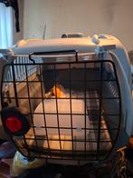 Katten vervoerbox, Ophalen of Verzenden, Zo goed als nieuw