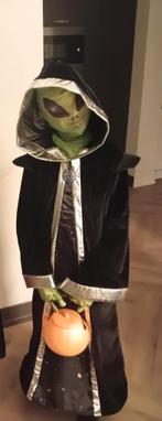 Alien pak maat 140, Ophalen of Verzenden, Pak of Jurk