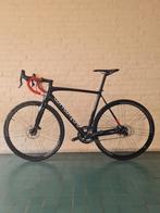 IGNIS OPTIMUM RIDLEY. Campagnolo Chorus/Record 12 speed M, Fietsen en Brommers, 28 inch, Carbon, Heren, Nieuw
