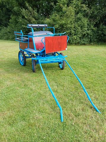 Recreatie kar pony paarden wagen rijkoets menwagen beschikbaar voor biedingen