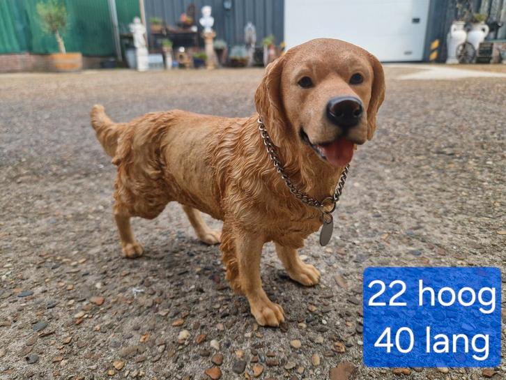 Levensechte golder retriever polystone, Verzamelen, Beelden en Beeldjes, Nieuw, Ophalen of Verzenden
