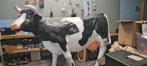 Beeld koe levensgroot gebruikt geschuurd, Ophalen, Zo goed als nieuw, Kunststof, Dierenbeeld