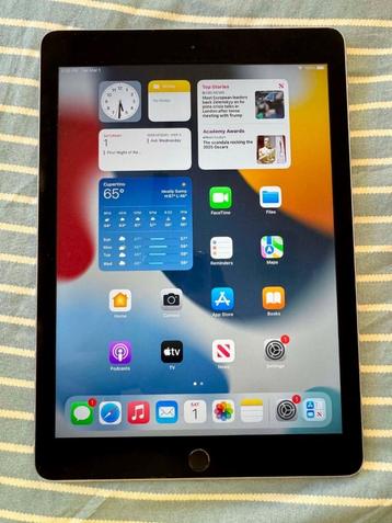 Apple iPad Air 2 Wi-Fi 16GB Grijs (vaste prijs) beschikbaar voor biedingen