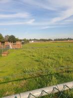Weiland 5000 m2 volledig omheind met hekwerk, Dieren en Toebehoren, Weidegang