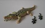 Playmobil 6644 Alligator met baby's, Ophalen, Zo goed als nieuw, Complete set