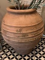 Grote oude olijfpot terracotta, Ophalen of Verzenden, Zo goed als nieuw, 75 cm of meer, Overige kleuren