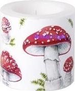 Kaars met Paddenstoelen, Ophalen of Verzenden, Nieuw, Overige materialen, Minder dan 25 cm