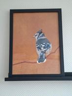 Schilderij van een Vlaamse gaai, Ophalen of Verzenden