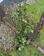 Rode bessen struik, Ophalen, Overige soorten, Struik, Minder dan 100 cm