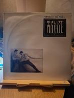 Lp : private lives - prejudice and pride, Cd's en Dvd's, Ophalen of Verzenden, 1960 tot 1980, Gebruikt, 12 inch