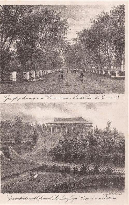 Gezigt op den weg van Kramat naar Meester Cornelis (Batavia), Antiek en Kunst, Kunst | Etsen en Gravures, Ophalen of Verzenden