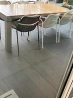 tuinmeubeltafel   groot  8 tot 10 personen, Huis en Inrichting, Tafels | Eettafels, Modern strak, 200 cm of meer, Ophalen of Verzenden