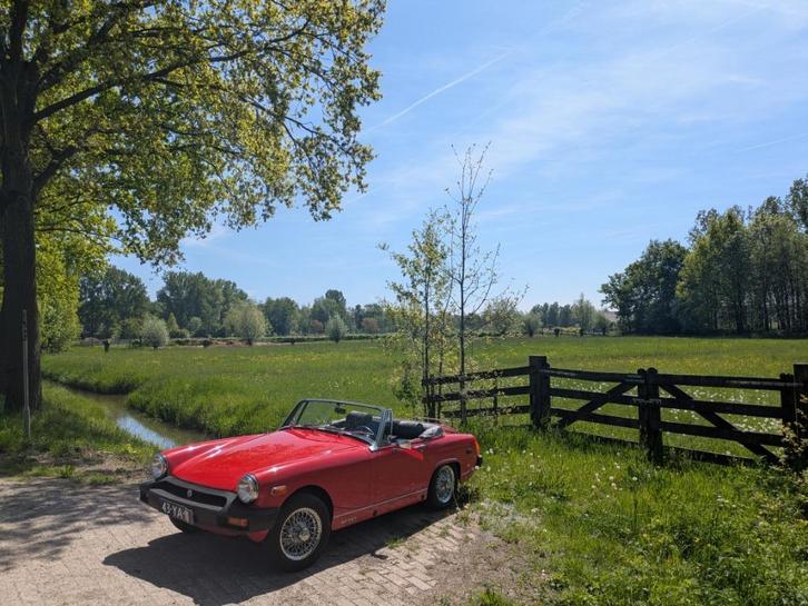 MG Midget 1.5 1976 Rood (Geen veiling), Auto's, MG, Particulier, Midget, Radio, Benzine, Cabriolet, Handgeschakeld, Geïmporteerd