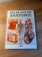 De anatomie van het menselijk lichaam, Boeken, Ophalen of Verzenden, Zo goed als nieuw, Medisch