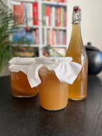 Kombucha scoby en startervloeistof, Diversen, Levensmiddelen, Ophalen