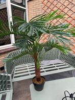 Kunst palm., Huis en Inrichting, Woonaccessoires | Kunstplanten en Kunstbloemen, Ophalen, Zo goed als nieuw, Buiten