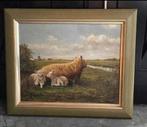 Schilderij met schapen lammetje op doek gesigneerd H. Alsema, Ophalen of Verzenden