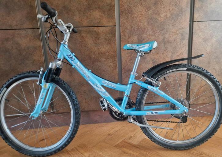 Trek Mountaintrack 220 24 inch jongensfiets, Fietsen en Brommers, Fietsen | Jongens, Gebruikt, 24 inch, Handrem, Versnellingen