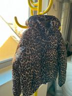 Les Coyotes De Paris winterjas maat 152 in panterprint, Kinderen en Baby's, Kinderkleding | Maat 152, Ophalen, Gebruikt, Meisje