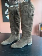 Cellini Laarzen Donkerbruin Suède Maat 39, Ophalen of Verzenden, Zo goed als nieuw, Bruin, Hoge laarzen