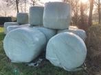 Ronde balen 11 stuks natuurgras, Dieren en Toebehoren, Dierenvoeding, Ophalen of Verzenden, Vee