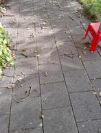 Ruim 150 stoeptegels, Ophalen, Overige typen, Zo goed als nieuw, 10 m² of meer