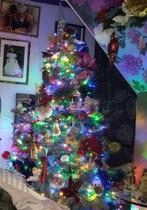 kerstboom, Diversen, Ophalen, Gebruikt