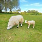 Beeld Texels schaap met lammetje schapen beelden Texel, Tuin en Terras, Tuinbeelden, Ophalen, Nieuw, Kunststof, Dierenbeeld