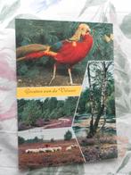 kaart groeten van de Veluwe, Ophalen of Verzenden, 1960 tot 1980, Gelopen, Gelderland