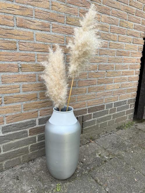 pluimen in vaas pamgras in 2 vazen met pluimen pluim, Huis en Inrichting, Woonaccessoires | Droogbloemen, Gebruikt, Ophalen of Verzenden