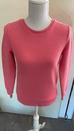 Mooie roze trui van CAVALLARO, maat XS (qwe), Cavallaro, Ophalen of Verzenden, Zo goed als nieuw, Roze