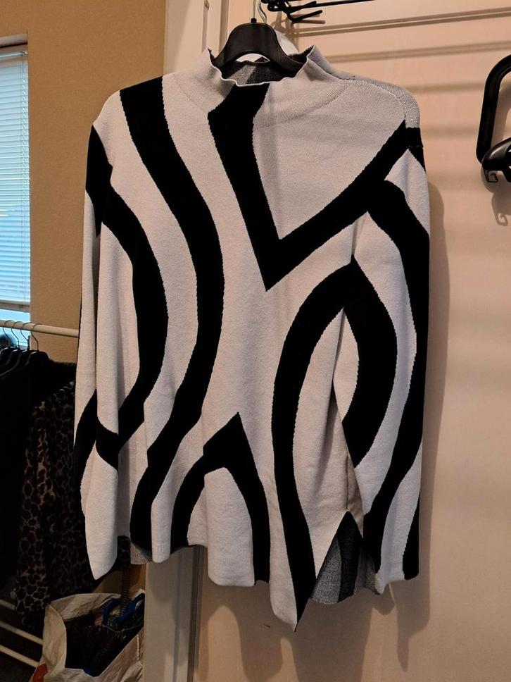 DIVERSE NIEUWE DAMES TRUIEN MAAT XL, Kleding | Dames, Truien en Vesten, Nieuw, Maat 46/48 (XL) of groter, Ophalen of Verzenden